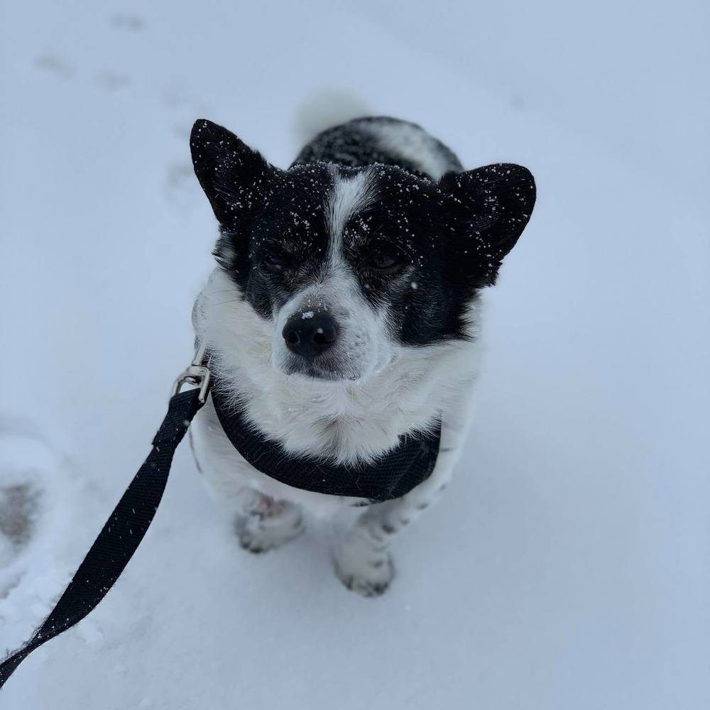 Meet your Posher, Ryan